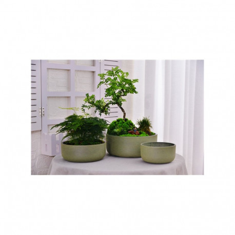 SPW M-21GD15 D15CM oliivikarva lillepott