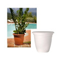 Plastpott TE000024 - 110 valge