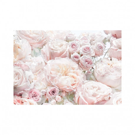 Fototapeet 8-976 368 x 254CM (6)