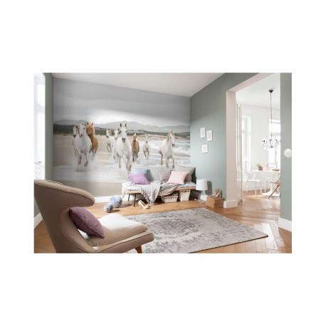 Fototapeet 8-986 368X254 A(6)