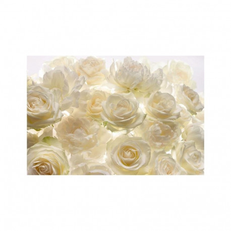 Komar XXL4-007 Shalimar fototapeet