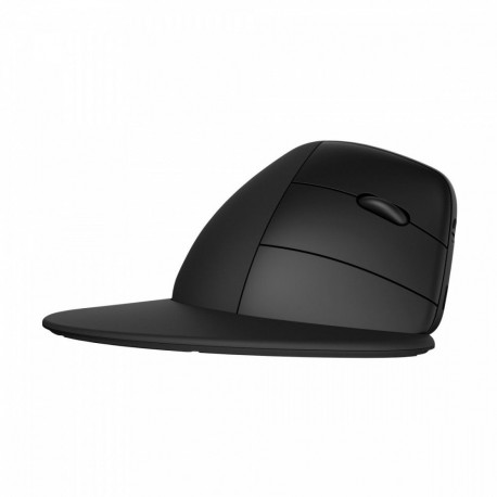 Mouse Ergonomic Wireless 920 - 6H1A4AA#ABB