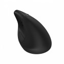 Mouse Ergonomic Wireless 920 - 6H1A4AA#ABB