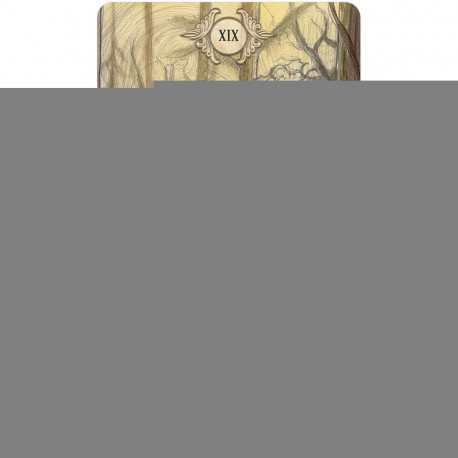 Tarot Card Deck - Fairy Tale Taro 78 Cards Illustrated Guide 8x14x4.5 cm