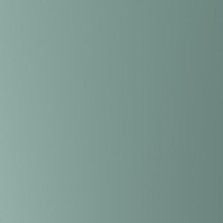 LAURASTAR S PURE PLUS ironing system, silt green