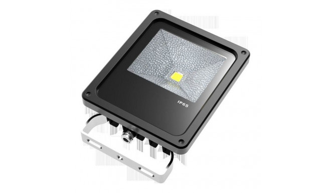 Synergy 21 LED objekti prožektor 10W IP65 nw