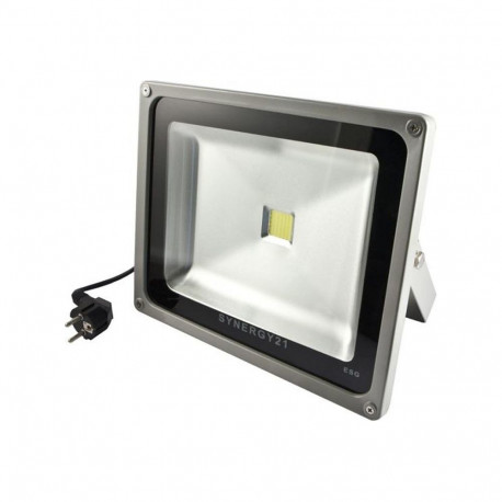 Synergy 21 30W halli korpusega neutraalvalge LED-välisprožektor V2