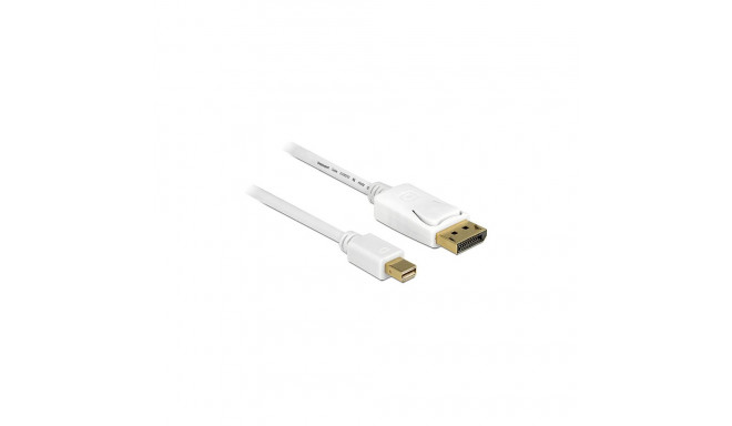 Mini DisplayPort - DisplayPort 2m