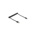 Delock USB 2.0 spiraalkaabel USB Typ-A pistik - USB Type-C