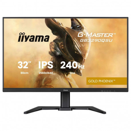 IIYAMA 80.0cm (31,5") GB3290QSU-B1 16:9 2xHDMI+DP+2xUSB-C