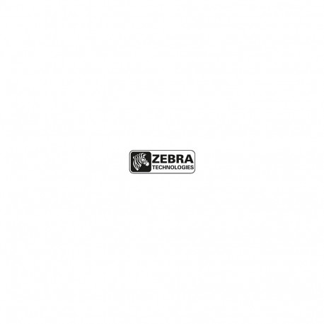 Zebra peamine ajamirihm