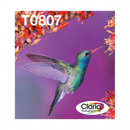 "Epson Original Easy Mail Packing T0807 Kolibri Druckerpatronen 6er Multipack BK/C/M/Y/LC/LM (C13T08