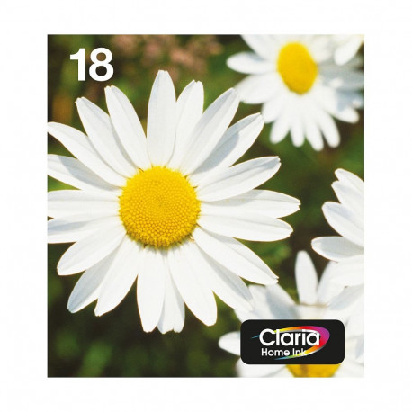 "Epson Original Easy Mail Packing 18 Gänseblümchen Druckerpatronen - 4er Multipack (C13T18064511)"