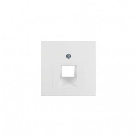 Berker 1407 19 09 polaarvalge keskplaat UAE-pistikupesale S.1