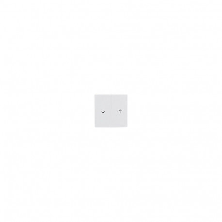 "Berker 16258989 Wippen mit Symbol Pfeil pws"