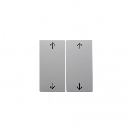 Berker 16448989 sümboliga klahv