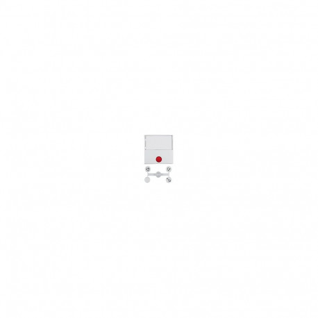 Berker 16968989 läätsedega ja suure märgistusväljaga klahv