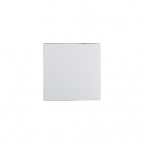 "Berker 1620 19 09 Wippe PWS S.1/B.1/B.7"