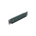 Delock 10-tolline valguskaabli pistikupaneel 12 porti SC Duplex aqua 1U must