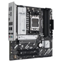 "AM5 ASUS Prime B840M-A WIFI"