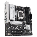 "AM5 ASUS Prime B840M-A WIFI"