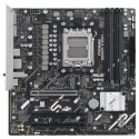 "AM5 ASUS Prime B840M-A WIFI"