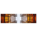 "X24P1GR 61CM 24IN IPS"