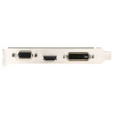 "GT710 2GB MSI LP passiv DDR3"