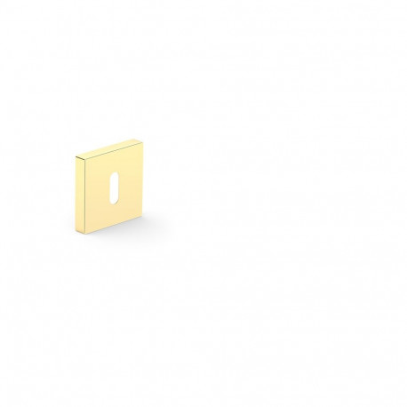 ESCHUTCHEON FOR KEY GOLD