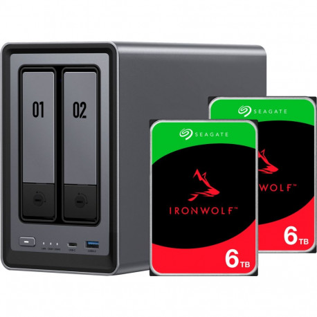 DXP2800 + 2x 6 TB Seagate IronWolf HDD Bundle