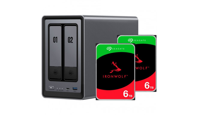 DXP2800 + Seagate IronWolf kõvakettad 2x6TB komplekt