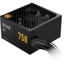 APNX DELUXE G1 750 (black, 750 watts)