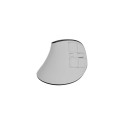 Mouse Euphonie Pro bezprzewodowa white