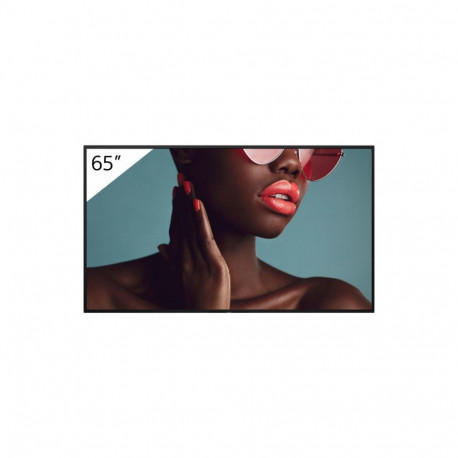 FW-65BZ40L 65-tolline PRO