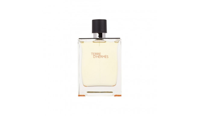 Hermes Terre d'Hermes Eau de Toilette (200ml)