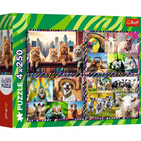 TREFL puzzle set Funny Animals, 4x250 pcs