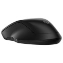 HP 255 juhtmevaba hiir