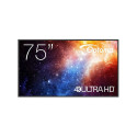 N3751K 75-tolline UHD 450cd/m2
