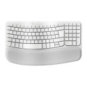 "Logitech Wave Keys for Mac WRLS Ergo"