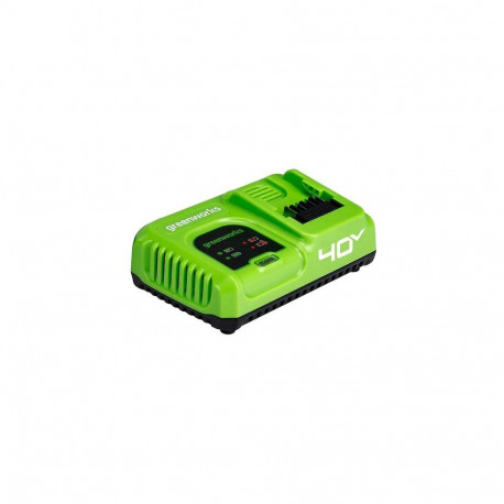 Greenworks 2945107 cordless tool battery / charger Battery charger