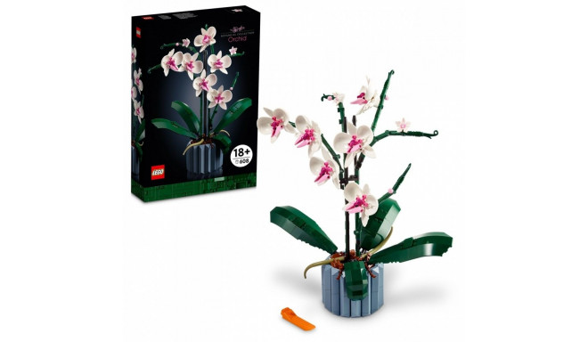 Klocki botanicals 10311 orhidee