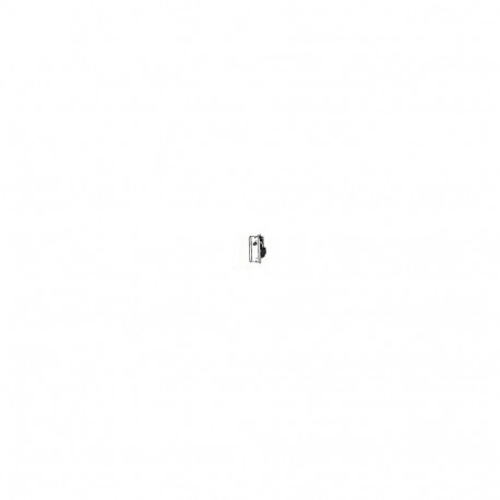 "Zebra Print Server - 802.11b/g/n"