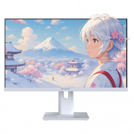 "JapanNext FHD Gaming Monitor 60,45cm (23,8"")"