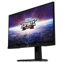 MSI monitor G244F E2