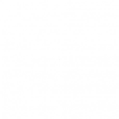 Zebra 30,2x279,4mm valge antibakteriaalne termokäepael patsiendi identifitseerimiseks