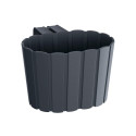 Lillepott Boardee Hook DDEZ200-S433