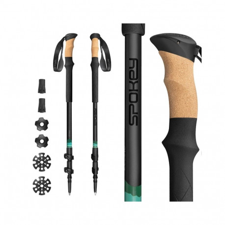 ZODIAC TREKKING POLE BK/GN