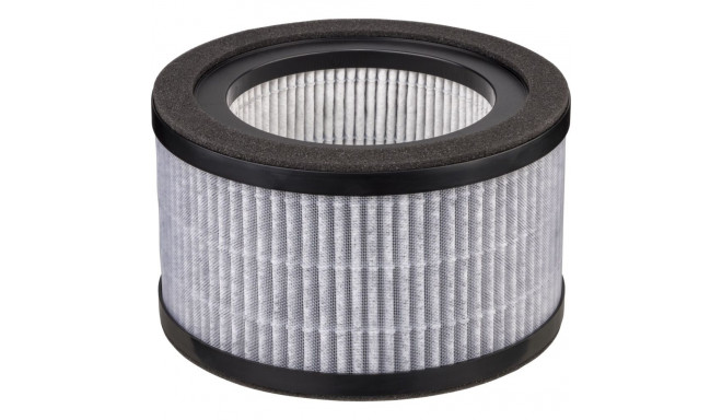 Beurer LR 220 Replacement Filter