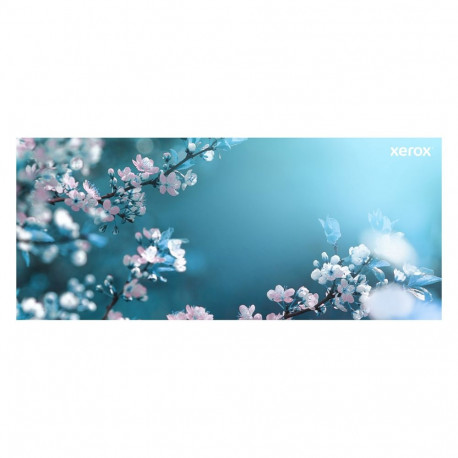 "XEROX Toner schwarz f. B620/625 42.000 Seiten"