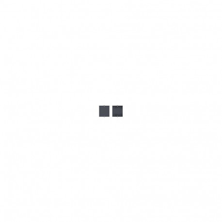 Bachmann Custom Modul must kruvipesadega pimepaneel